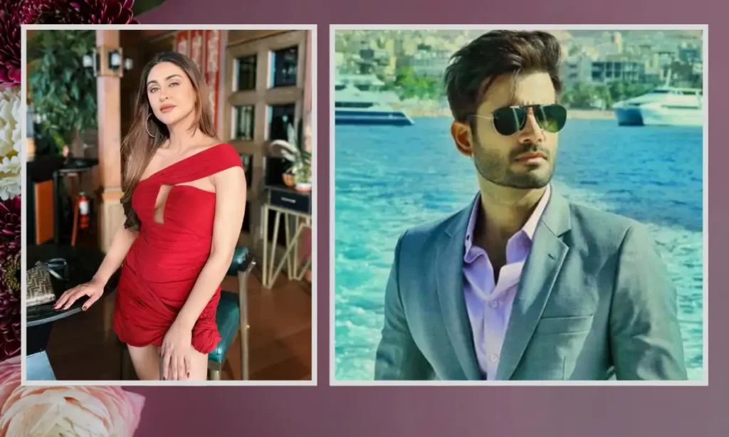 Krystle D’Souza Boyfriend